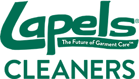 Lapels Dry Cleaning Franchise Competetive Data